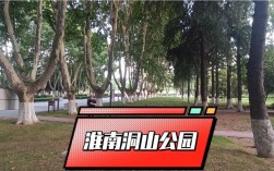 旺姓淮南怎么找？淮南洞山公园相亲角每周时间？