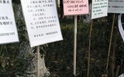 绵阳市人民公园每周都有相亲角吗？绵阳男女单身相亲活动