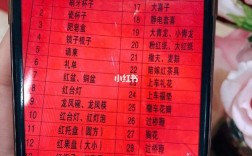 青岛结婚女方陪嫁清单青岛结婚女方准备什么？(青岛结婚女方需要买什么东西)