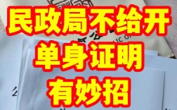 辽宁单身男性有多少？沈阳单身证明去市民政局开?还是区民政局？