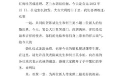 司仪主持婚礼的时候新郎说什么呀？(新婚庆典新郎简单发言)