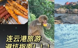 我的连云港怎么添加家庭成员？连云港连岛旅游攻略？