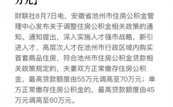 池州市买25万房子需首付多少？池州单身群