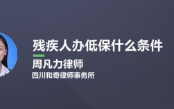 残疾人什么条件可以单独申请低保？铜陵单身服务