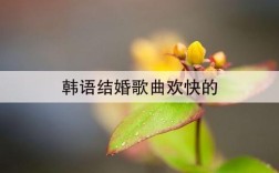 结婚有氛围的歌曲？（婚礼歌曲 韩文）