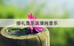 婚礼背景音乐纯音乐播放适当的音乐？（适合婚礼播放的纯音乐）