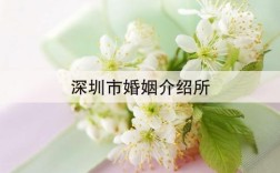 深圳有那几家正规婚介所？深圳婚介所哪家好？