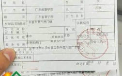 外地女大学生在海口好找对象吗？海南未婚生子怎么上户口？