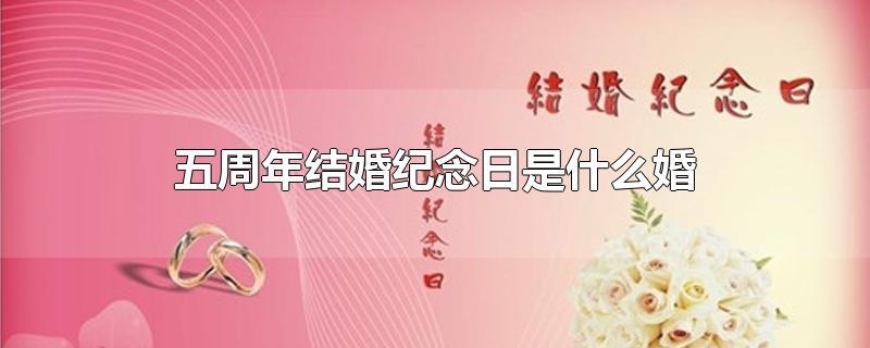 5周年是什么婚？(结婚五周年是什么婚姻)-图2