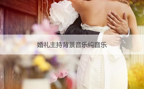 婚礼背景音乐怎么下载？(婚礼主持播放音乐的软件)-图2