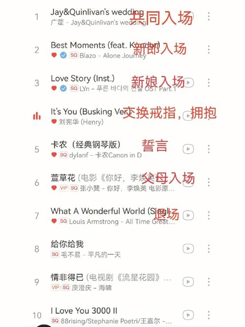 关于结婚的好听歌曲？(结婚用什么歌好听的歌)-图2