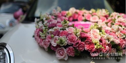 为什么婚车用菊花？(婚车用什么颜色的花好呢)-图3