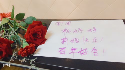 类似新婚快乐的词？(新婚快乐百年好合是什么意思)-图1