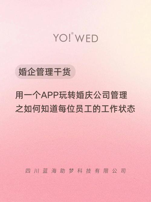 跑婚庆的app？(广州婚尚婚庆公司排名)-图1