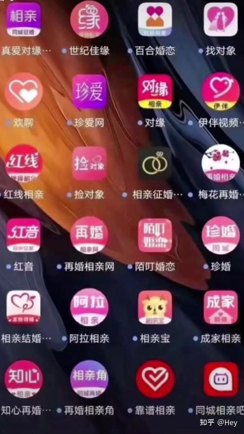 十大正规相亲app？(靠谱的相亲平台有哪些)-图3