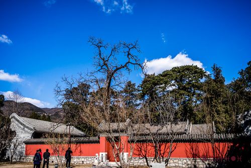 香山卧佛寺的历史事件？(七叶香山婚礼)-图1