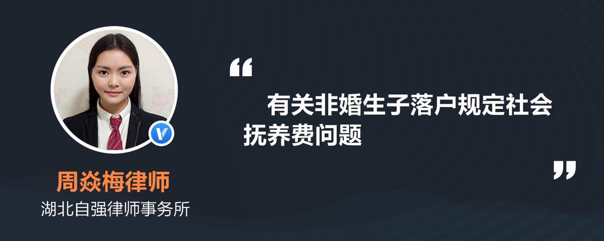 湖南未婚生子怎么上户口最新？湖南未婚生子交多少社会抚养费？-图2