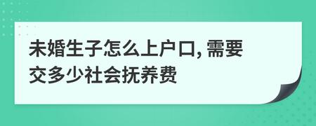 湖南未婚生子怎么上户口最新？湖南未婚生子交多少社会抚养费？-图3