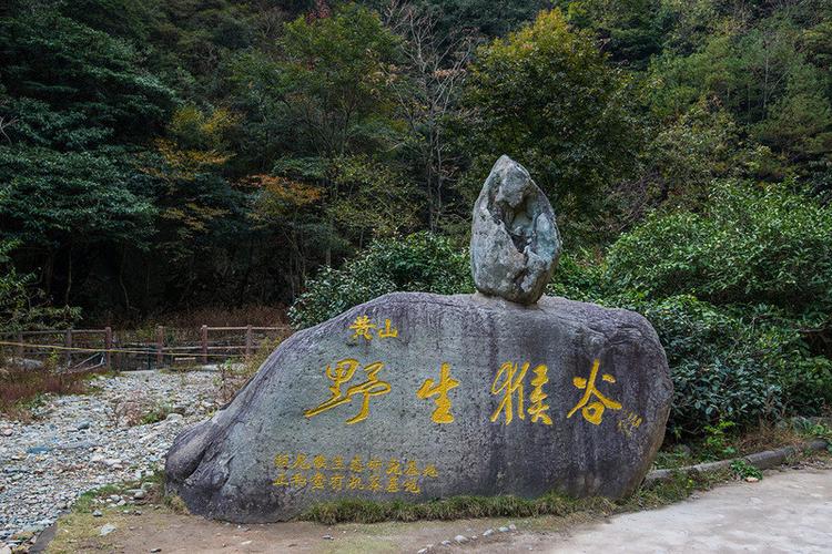 黄山市桃源村有姓庄的？黄山野生猴谷景区要门票吗？-图2