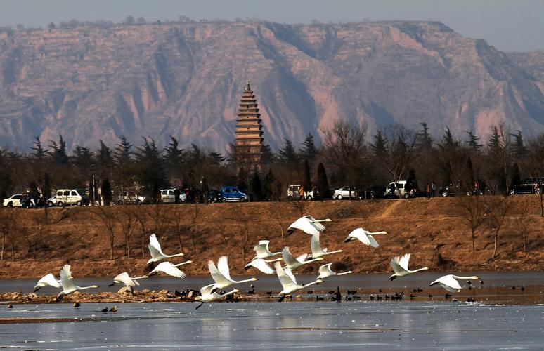 三门峡为什么加入大西安经济圈？三门峡最隐蔽的景点？-图3