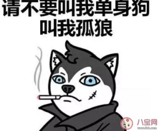 女人叫男人猪猪是什么意思？搞笑的群名称单身狗？-图1