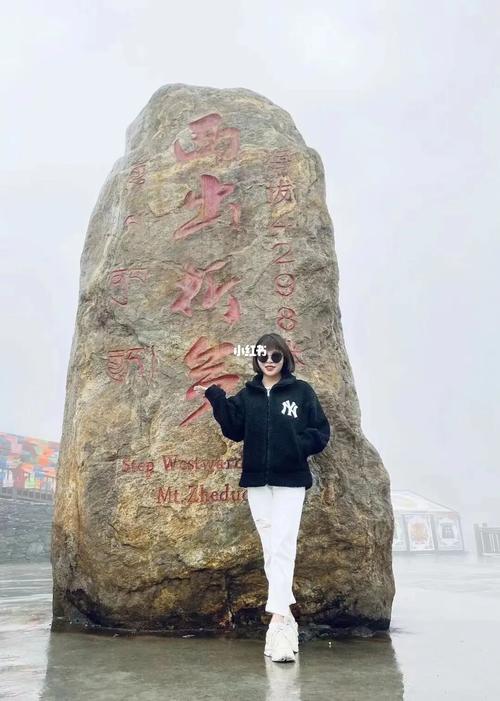 我是个五十岁的退休女士，出去旅游，想找一个同伴，有什么好的网站提供？海口到西藏旅游攻略？-图1