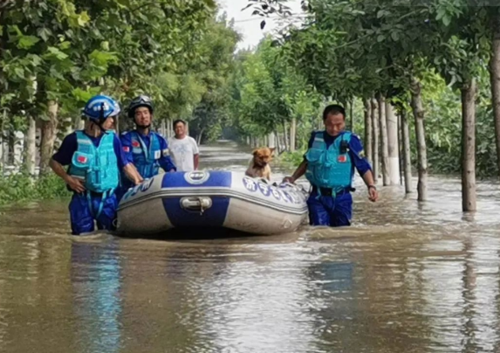 河北泄洪区有哪些地方？河北蓝天救援队有几支？-图2