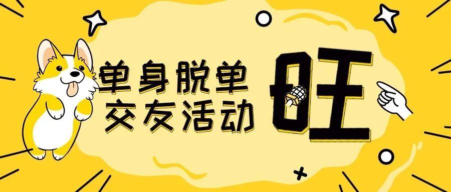 珍爱单身群靠谱吗？9个人叫什么群名？-图3