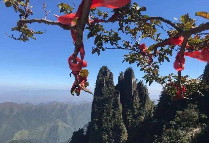 362311开头身份证是哪里？莽山是几a景区？-图3