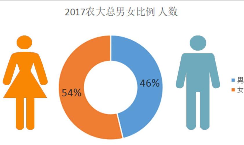 山东济宁未婚男女比例？山东聊城双女户60岁补贴？-图3