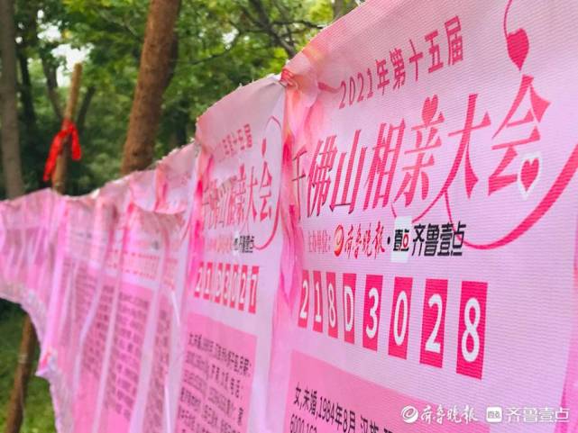 2021年济南千佛山九月九还有相亲会吗？济南次第花开婚恋靠谱吗？-图3