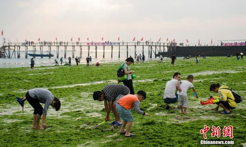 合肥银滩绿洲怎样，人均消费大概多少，要带洗发水之类的吗?有什么好玩的，越详细越好，急急急？绿洲庄园小区建造时间？-图3