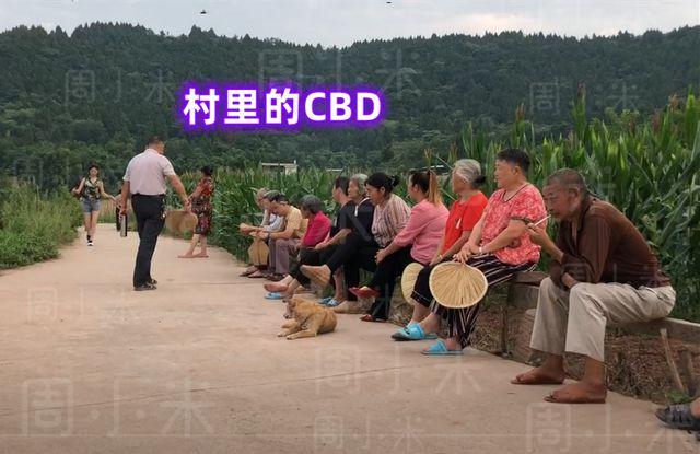 小阿娣是哪里的方言？资阳单身男士-图1