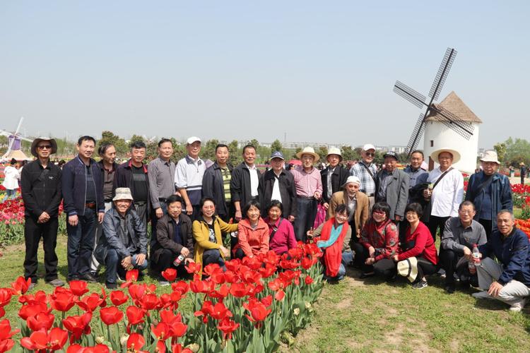 我是个五十岁的退休女士，出去旅游，想找一个同伴，有什么好的网站提供？0575-88017873是哪家单位？-图2