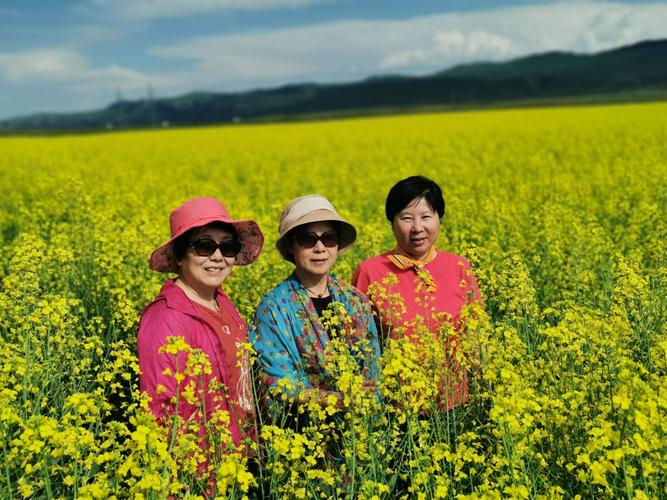 我是个五十岁的退休女士，出去旅游，想找一个同伴，有什么好的网站提供？0575-88017873是哪家单位？-图1