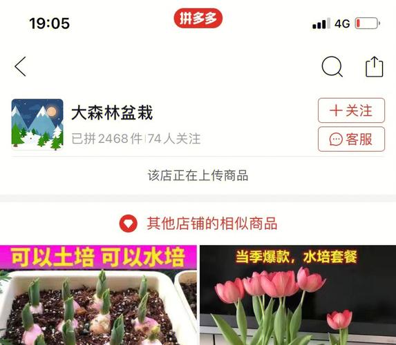 江苏省宿迁市邮政编码是多少？拼多多上有花卉群吗？-图3