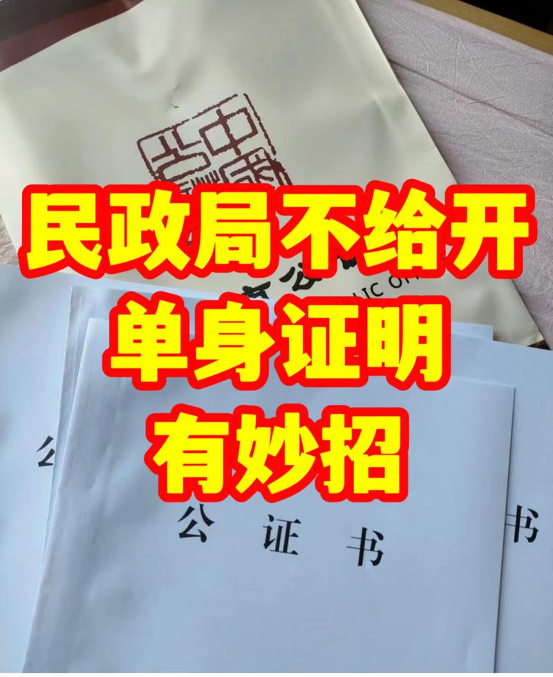 沈阳哪里单身女孩多？沈阳单身证明去市民政局开?还是区民政局？-图1