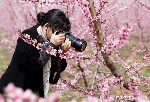 山西桃花什么时候开？平陆单身女-图3