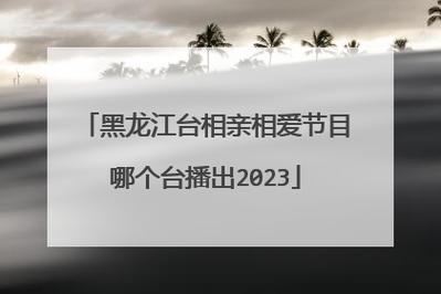 黑龙江相亲相爱停播了吗？我是个五十岁的退休女士，出去旅游，想找一个同伴，有什么好的网站提供？-图3