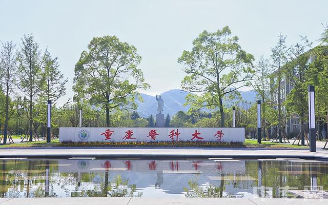 重庆中医药大学怎么样？重庆璧山单身-图2