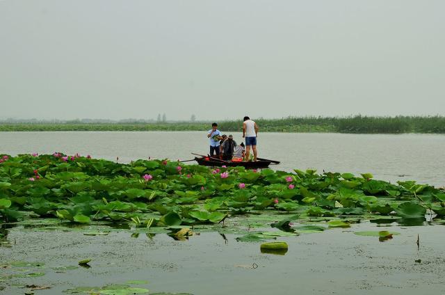 齐河附近亲子游玩的地方？微山湖怎么玩？-图3