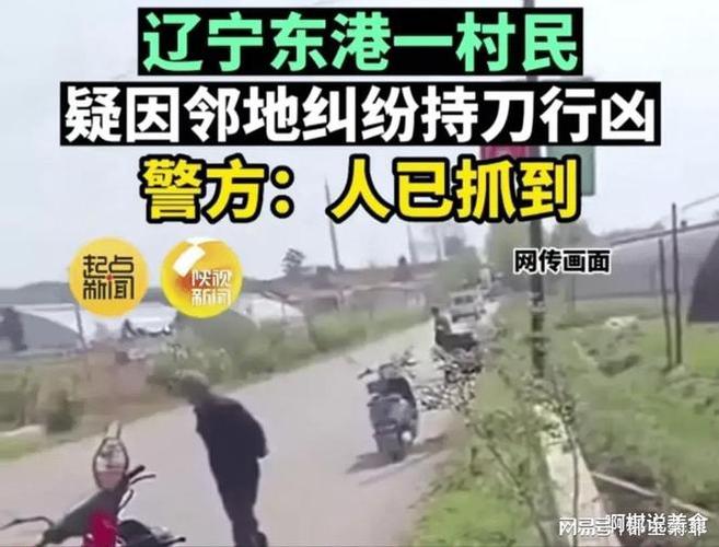 安徽一村支书被砍伤致死凶手是谁？南陵单身女-图3