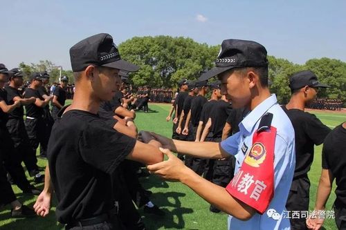 在江西上饶买套单身公寓40平方的要花多少钱？上饶警察学校招生简章？-图2