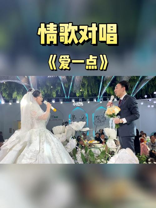 婚礼情歌对唱的歌曲推荐？（婚礼的情歌）-图3