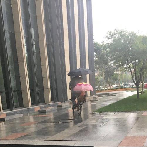 下雨天避雨正确的方法是什么？（露天婚礼下雨怎么办）-图2