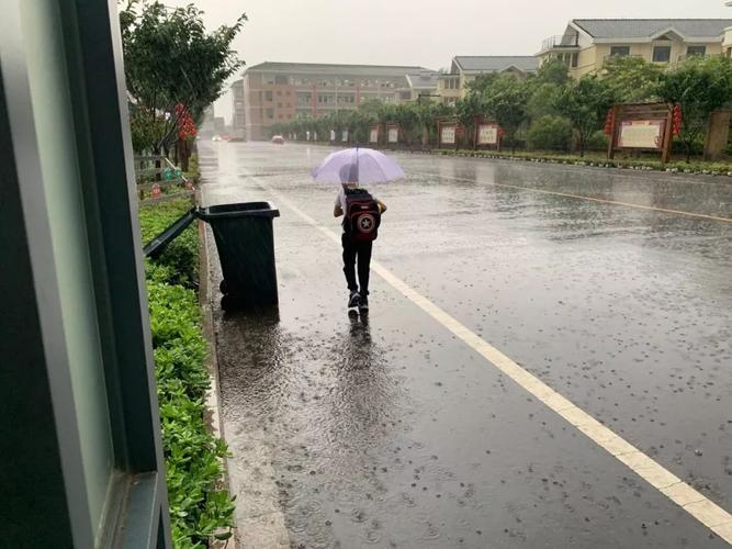 下雨天避雨正确的方法是什么？（露天婚礼下雨怎么办）-图3