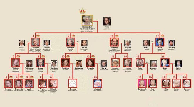 英国的王位继承顺序是如何确定的？（英国皇室婚礼流程）-图1