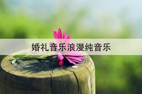 有哪些适合在婚礼上播放的纯音乐？（适合婚礼纯音乐）-图3