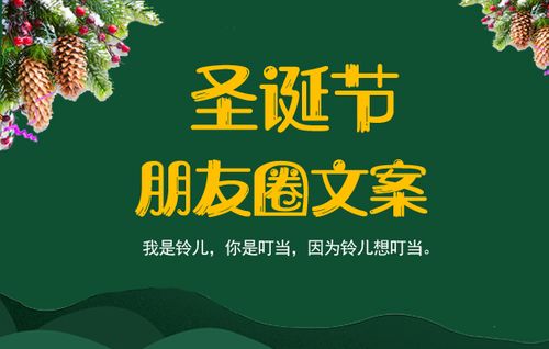 圣诞结婚的文案？（婚礼主题 圣诞节）-图3