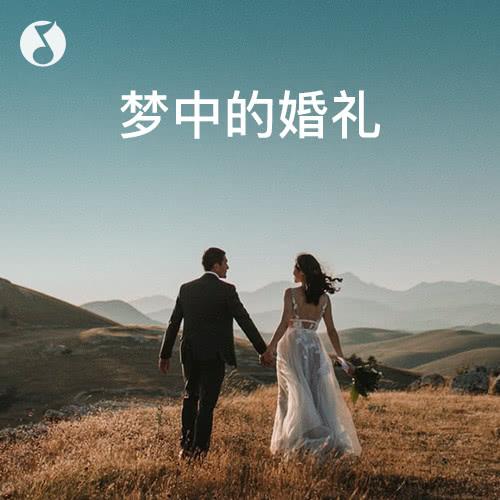 适合婚礼誓言的背景音乐？（感人的婚礼纯音乐）-图2